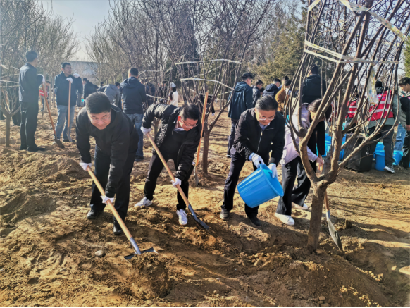 W020250313358329996264 W020250313358329996264